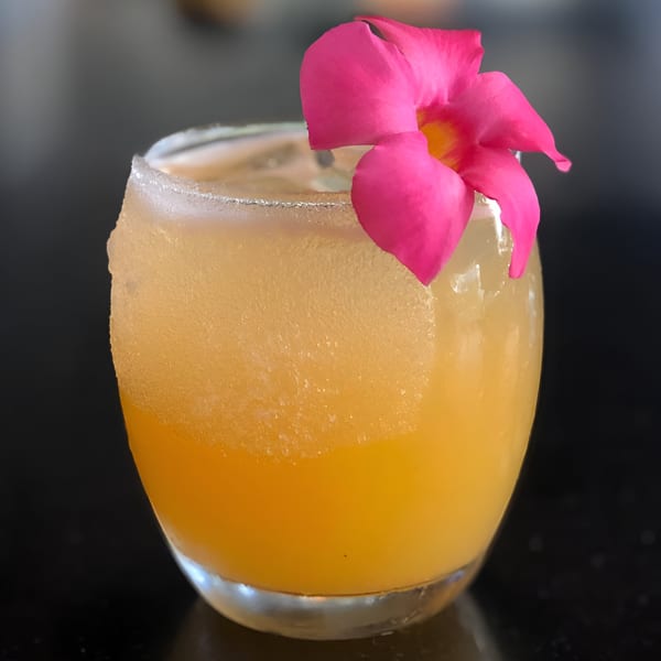 La Mesa Modern Mexican's frozen margarita with a salt rim and a vibrant pink flower garnish.