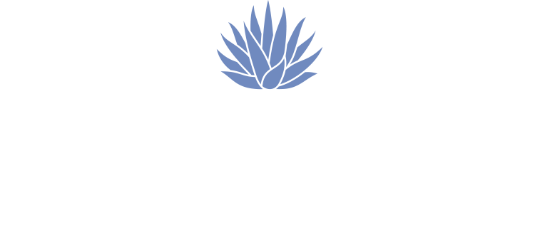 La Mesa Modern Mexican